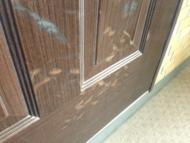名古屋市東区 玄関ドアの凹み・キズ・変色のリペア補修